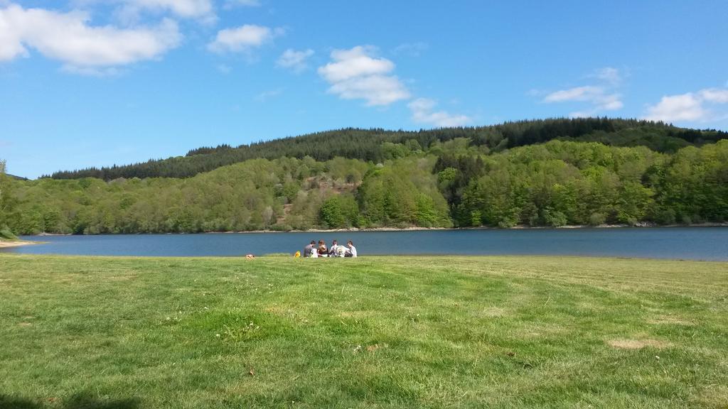 Logis Le Relais De Fusies Hotel Lacaune Luaran gambar